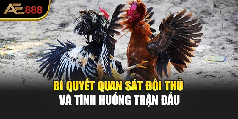 Bí quyết quan sát đối thủ và tình huống trận đấu