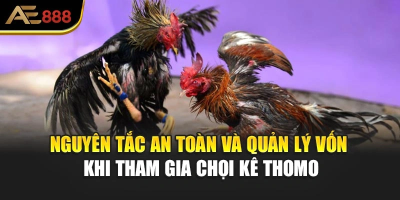 Nguyên tắc an toàn và quản lý vốn khi tham gia chọi kê Thomo